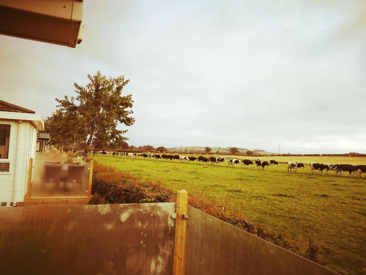 19 Park Views Just Outside Penrith For Holidays And Short Breaks Please No Commercial Vans Thankyou High Hesket Exterior foto